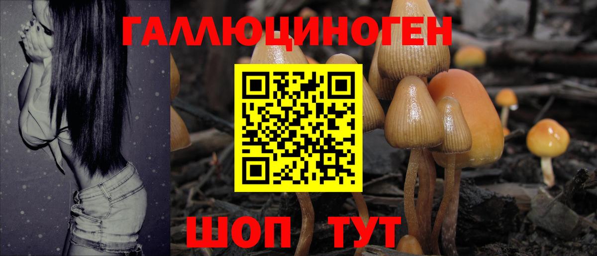 Галлюциногенные грибы мухоморы Сорочинск