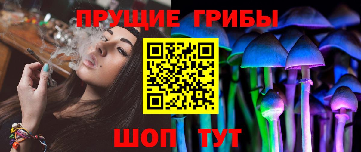 Псилоцибиновые грибы Psilocybine cubensis  Вход с VPN  Сорочинск 